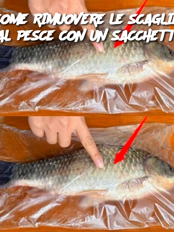 OWLMATE 2 Pinzette In Acciaio Inox Per La Rimozione Delle Ossa Di Pesce
